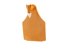 Ardes Feedlot S