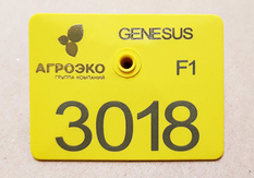 Бирка ушная Square tag